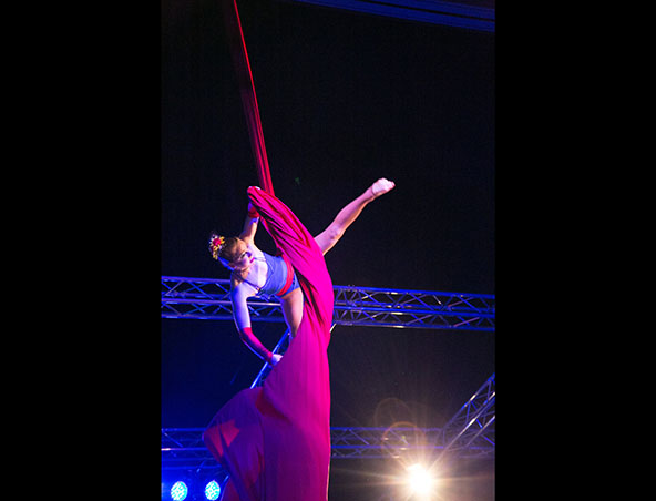 Aerialists Brisbane - Trapeze Artists - Aerial Entertainment Performers